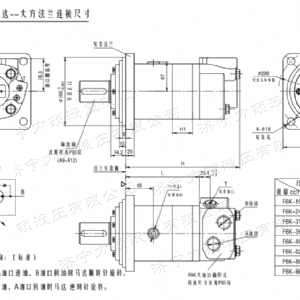 BM6(6K)系列马达大方