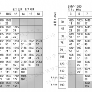 BMV大方系列马达