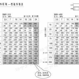 BMV车轮系列马达