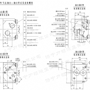 BMV车轮系列马达