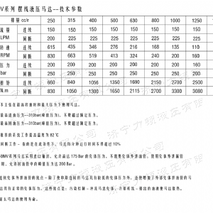 BMV无轴承系列马达