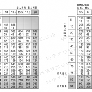 BMH系列并列油口星空平台马达