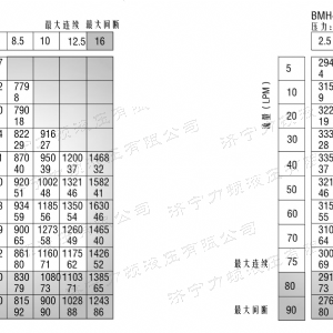 BMH系列并列油口星空平台马达